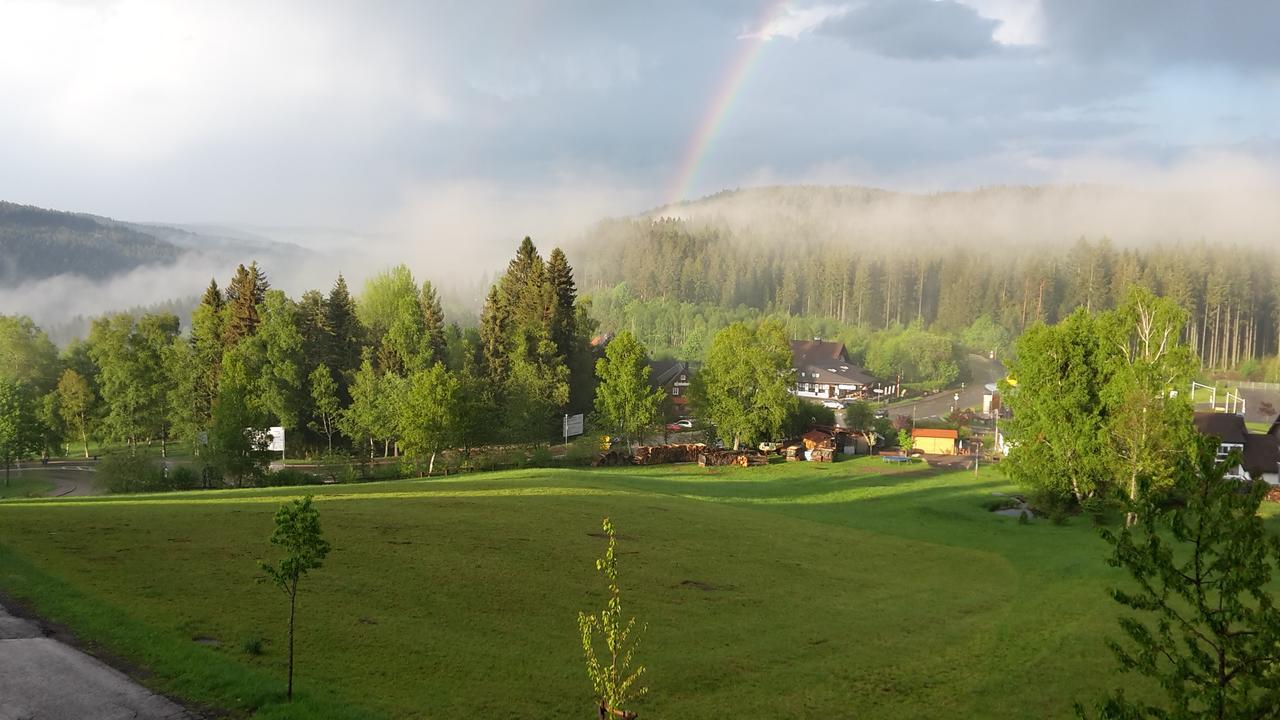 Schwarzwald-Chalet Feldberg Фельдберг Экстерьер фото